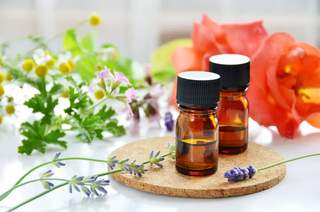 PlantsHerbs Essential Oils