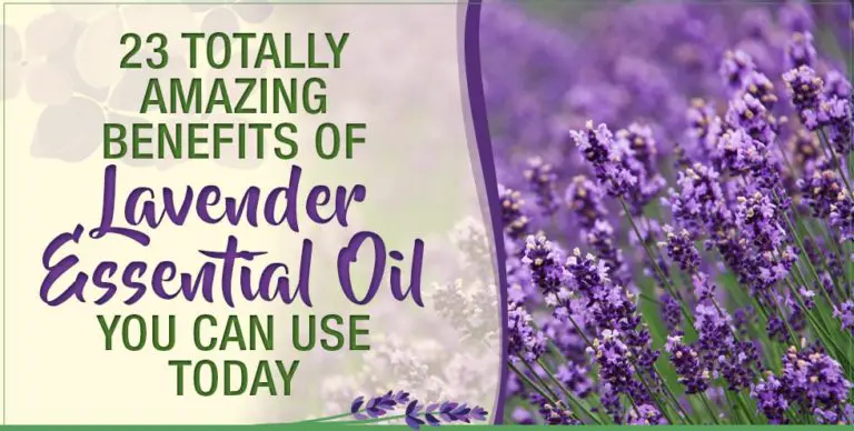 23 Totally Amazing Benefits Of Lavender Essential Oil You Can Use Today ...