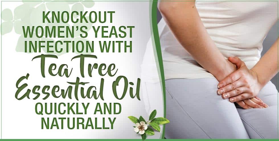 Knockout Womens Yeast Infection With Tea Tree Essential Oil Quickly And Naturally Essential 5935