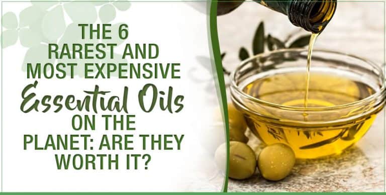 The 6 Rarest and Most Expensive Essential Oils on the Planet: Are They ...