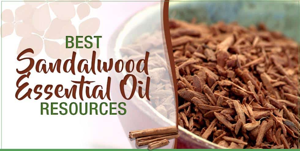 Best Sandalwood Essential Oil Resources  Essential Oils