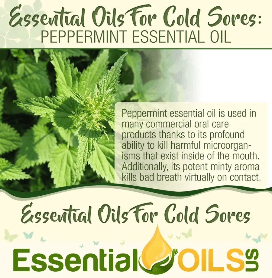 Quickly Alleviate Cold Sores With Essential Oils Essential Oils Us