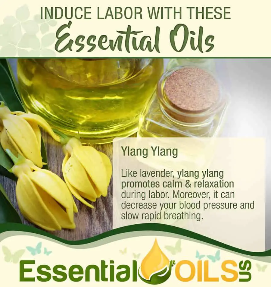 5 Essential Oils to Induce Labor Naturally