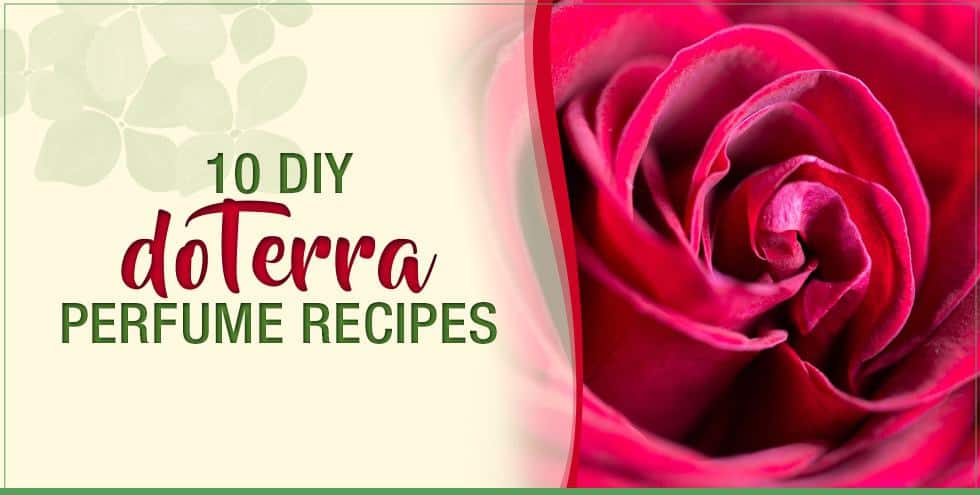 10 Diy Doterra Perfume Recipes Essential Oils 