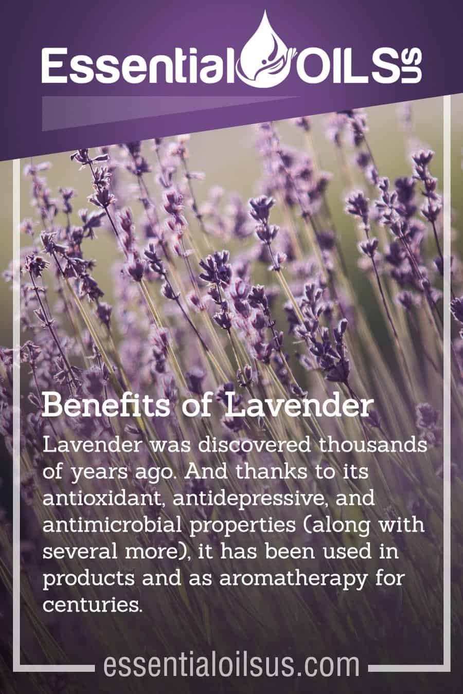 Lavender and Lemon Essential Oil Mix That Go Together | Essential Oils Us